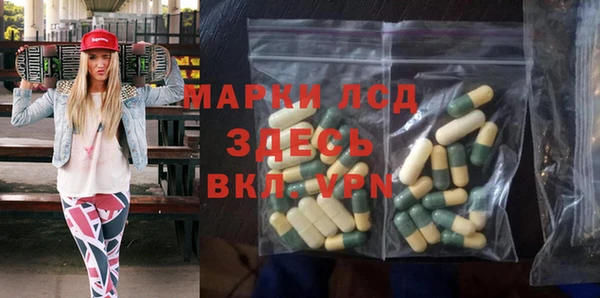 прущие грибы Арсеньев
