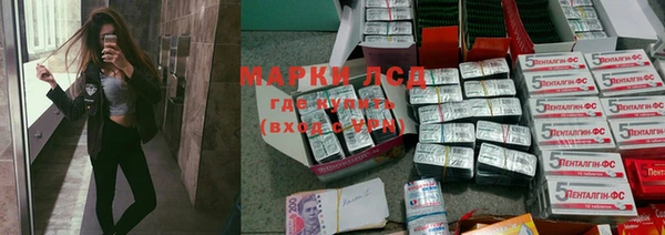 прущие грибы Арсеньев