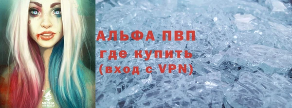 прущие грибы Арсеньев