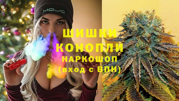 прущие грибы Арсеньев